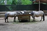 Liberecká ZOO