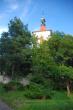 Myšenec