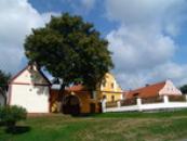 Krašovice