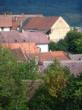 Kalubice