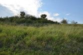 Oppidum Stradonice