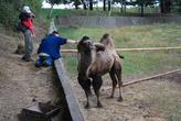 Podkrušnohorský zoopark Chomutov
