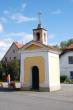 Plchov