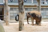 Liberecká ZOO