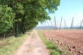 Pnětluky