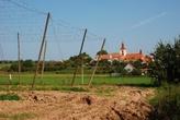 Vinařice