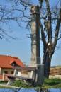 Mořina