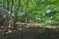 Oppidum Stradonice