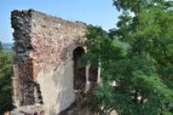 Hrad Žebrák