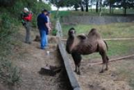 Podkrušnohorský zoopark Chomutov