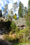 Krásy Jetřichovicka.
