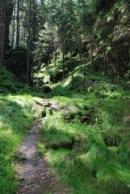 Malebná zákoutí podél říčky Křinice...
