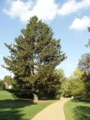 Zámecký park.