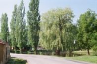 Lotouš