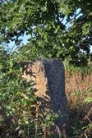 Menhir ve stínu stromu.