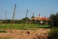 Vinařice