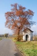 Kaplička nedaleko Solan.