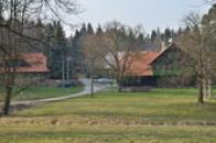 Emilovna