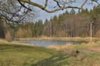 Emilovna