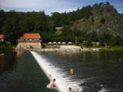 Sýkořice