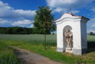 Sýkořice