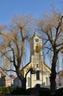 Kostel sv. Barbory za stromovými záclonami.