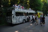 ZOO Dvůr Králové
