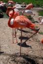 ZOO Dvůr Králové