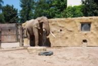 ZOO Dvůr Králové