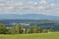 Zvičina