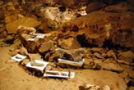 Kosterní pozůstatky dávných zvířat.