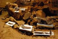 Kosterní pozůstatky...