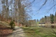 Cestou kolem rybníka v zámeckém parku.