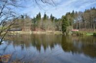 Rybník v zámeckém parku.