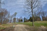 Rozlehlý zámecký park.