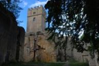 Hrádek u Úštěku, kde prý žily opice.
