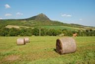 Dominanta Třebenicka.