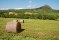 Dominanta svého okolí.