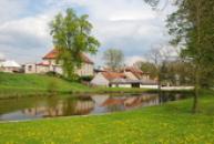 Místní rybník.