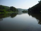 Berounka u Zvikovce.