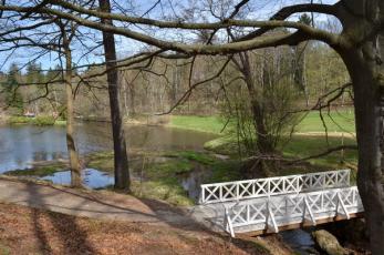 Zámek Kynžvart na Chebsku - Malebné zákoutí zámeckého parku.