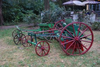 Podkrušnohorský zoopark Chomutov - Historická sečka.