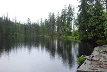Prášilské jezero na Klatovsku - Leží v nadmořské výšce 1080 m.