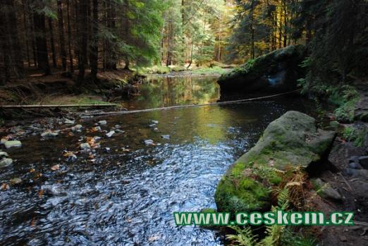 Kaňon říčky Chřibská Kamenice byl vyhlášen přírodní rezervací.
