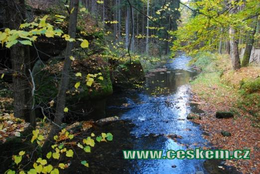 Okolí říčky Chřibská Kamenice bylo vyhlášeno přírodní rezervací.
