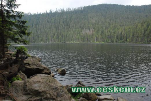 Pohled na druhé největší jezero na Šumavě.