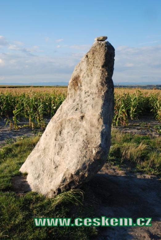 Menhir Zakletý mnich nedaleko Drahomyšle.