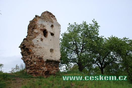 Ruiny sídla syna hrdiny z Dalimilovy kroniky.
